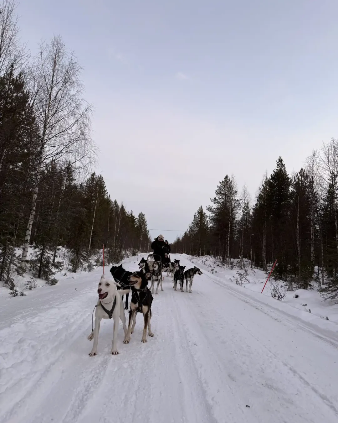 FlorenciaSosa_TRAVEL_Finlandia03
